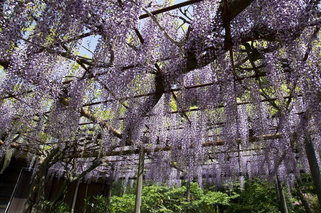 Hotel Nanzanso Izunokuni Exterior photo